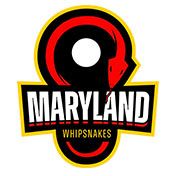 Maryland Whipsnakes