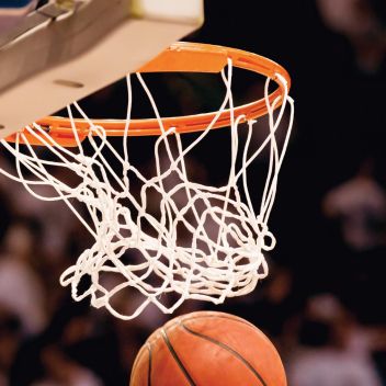 Basketball New Arrivals