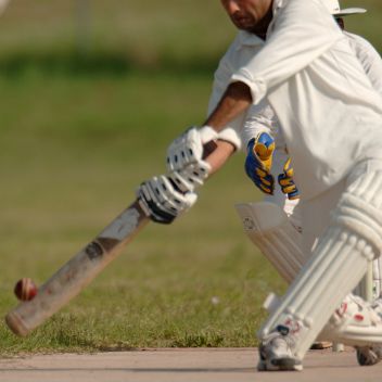 Cricket