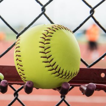 Softball New Arrivals
