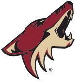 Arizona Coyotes