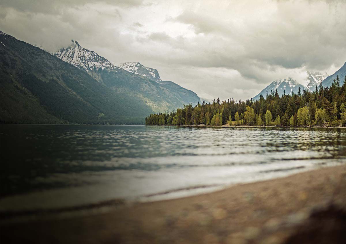 field and stream father's day sale