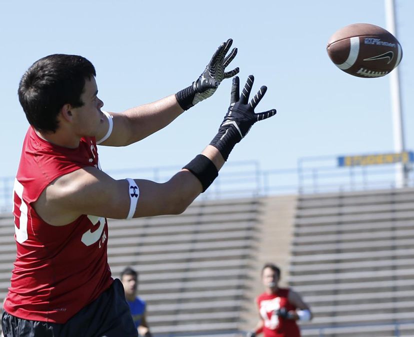 pee wee size football gloves